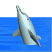 Image gif de dauphin en 3D