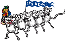 Image gif de des souris avec un drapeau it s a boy