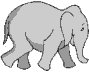 Image gif de elephant qui marche