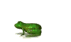 Image gif de grenouille verte qui saute