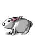 Image gif de lapin qui saute