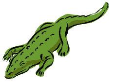 Image gif de lezard vert