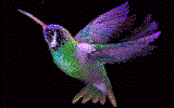Image gif de oiseau en 3D