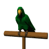 Image gif de perroquet en 3D