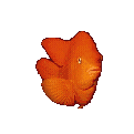 Image gif de poisson rouge en 3D