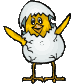 Image gif de poussin dans un oeuf
