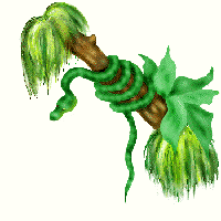 Image gif de serpent autour d une branche