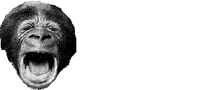 Image gif de tete de singe