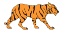 Image gif de tigre qui marche