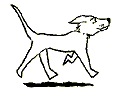 Image gif de un chien blanc qui marche