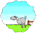 Image gif de un mouton qui saute des barrieres