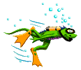 Image gif de une grenouille verte nage sous l eau