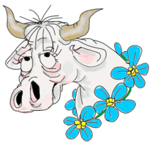 Image gif de une vache avec un collier de fleur