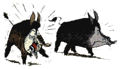 Image de asterix 044 gif