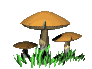 Image gif de 3 champignons