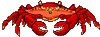 Image gif de crabe anime