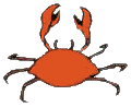 Image gif de crabe