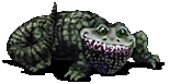Image gif de crocodile de face