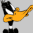 Image gif de tete de Daffy Duck sur fond gris