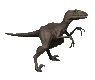 Image de dinosaures 027 gif