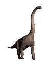 Image de dinosaures 078 gif