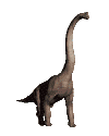 Image de dinosaures 078 gif
