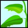 Image gif de un escargot sur une feuille verte