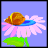 Image gif de un escargot sur une fleur rose