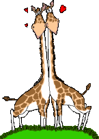 Image gif de 2 girafes amoureuses