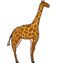 Image gif de animation d une girafe