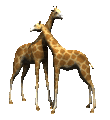 Image gif de deux girafes en 3D