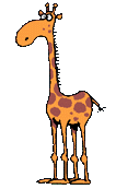Image gif de drole de girafe