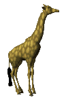 Image gif de girafe 3D