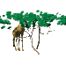 Image gif de girafe avec la tete dns un arbre