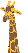 Image gif de girafe
