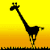 Image gif de soleil couchant et une girafe