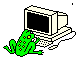 Image gif de grenouille devant un ordinateur