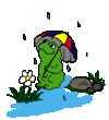 Image gif de une grenouille sous la pluie