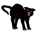 Image gif de un chat noir effrayant