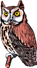 Image de hiboux 033 gif
