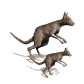 Image gif de deux kangourou en 3D la mere et son petit