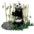 Image gif de panda avec des bambous