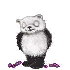 Image gif de panda qui offre des fleurs