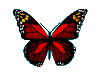 Image de papillon 050 gif