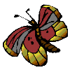 Image de papillon 067 gif