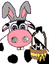 Image gif de une vache qui veut des chocolats