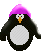 Image de pingouin 008 gif