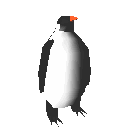 Image de pingouin 025 gif