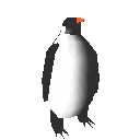 Image de pingouin 025 gif