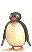 Image de pingouin 041 gif